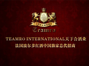 法國天下合國際發(fā)展集團(tuán)有限公司