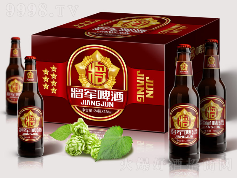 將軍黑啤酒【8° 228ml×24瓶】