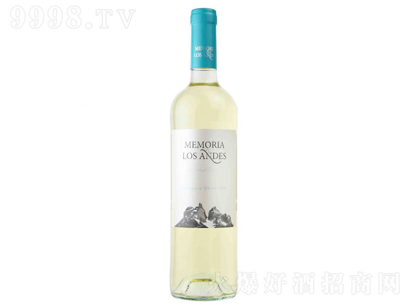 智利安第斯之夢長相思干白葡萄酒【13° 750ml】