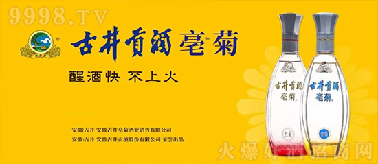 古井亳菊酒 古井亳菊酒