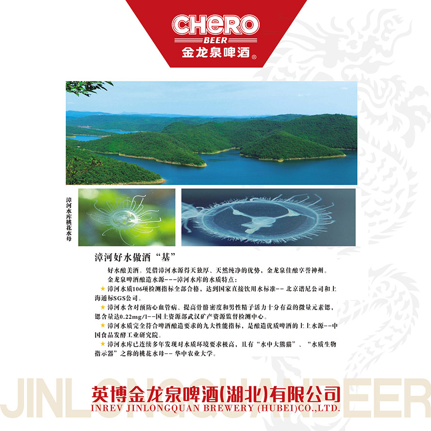 英博金龍泉啤酒【湖北】有限公司