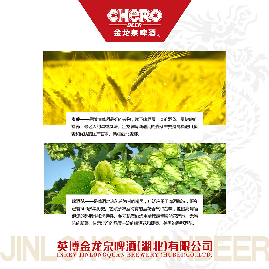英博金龍泉啤酒【湖北】有限公司