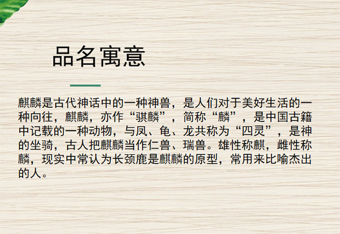 逸騏麟優選干紅葡萄酒【13度750ml】