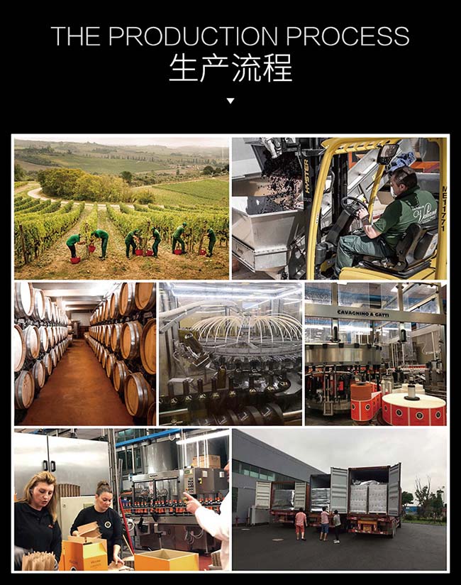 意大利彼奇尼威尼斯普羅賽克起泡酒