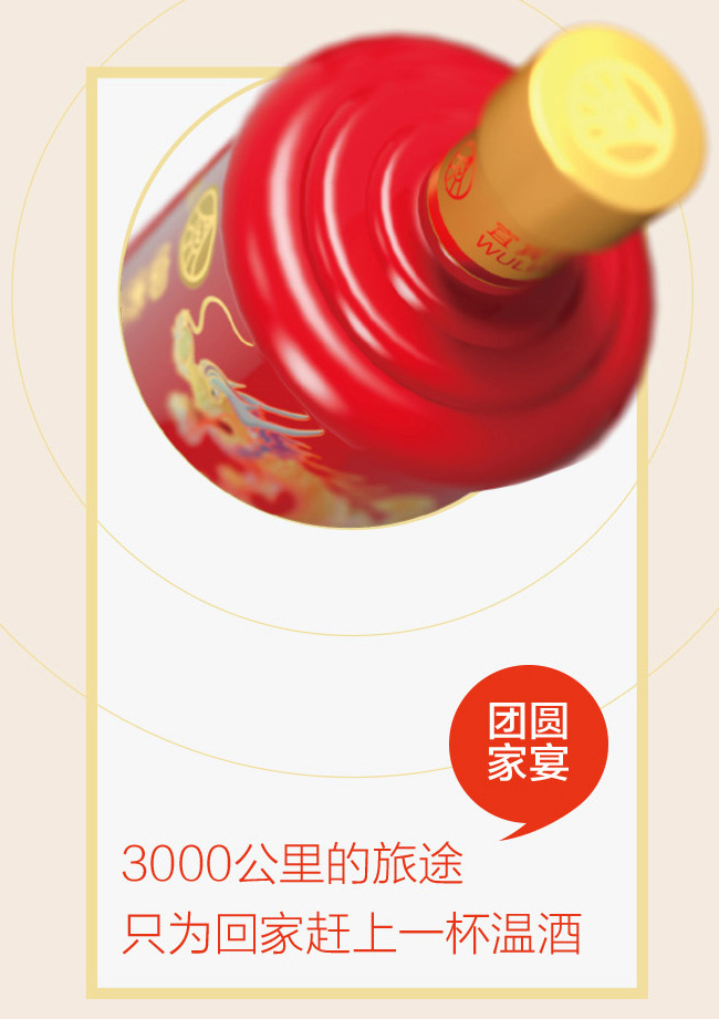 五糧液股份·富貴吉祥酒-精致