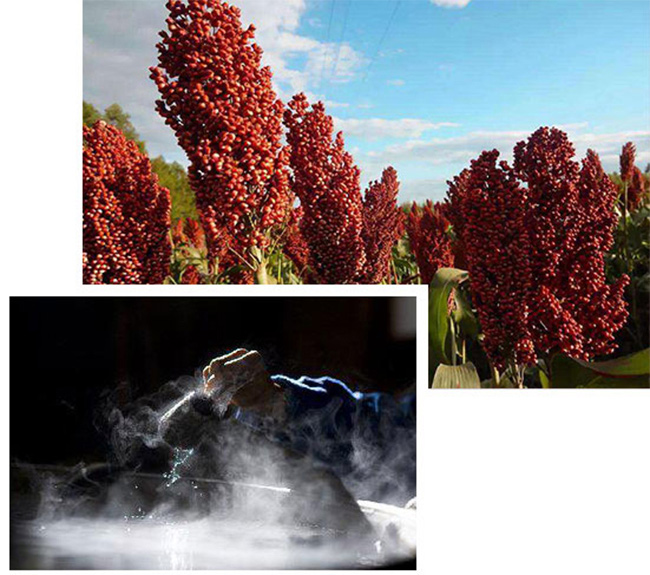 金口玉言茶缸酒·我們都是好孩子42°-200ml-濃香型白酒