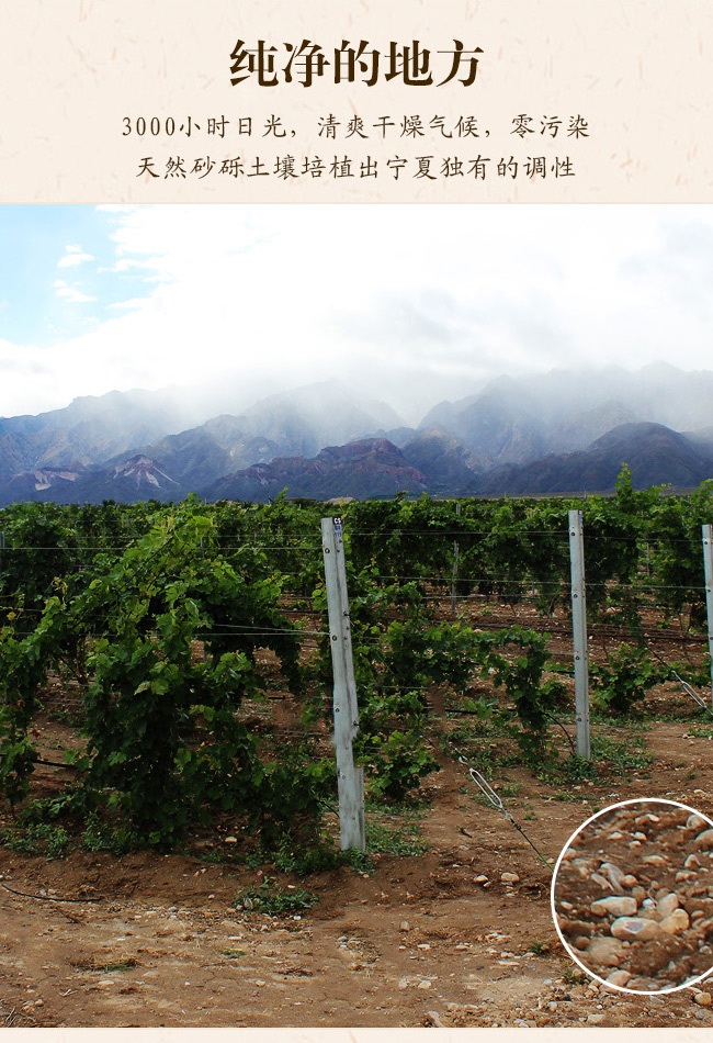 類人首2009經典干紅葡萄酒12°750ml