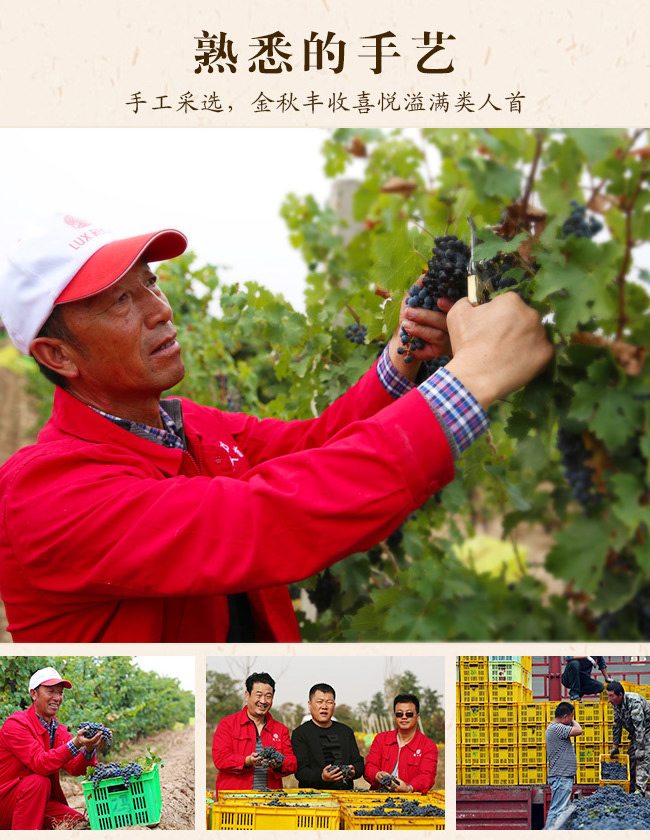 類人首2009經典干紅葡萄酒12°750ml