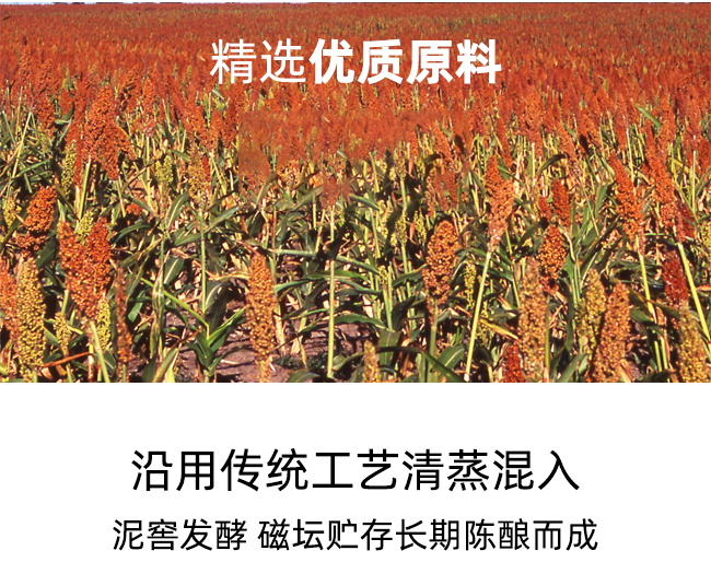 明海扎二 清香型白酒