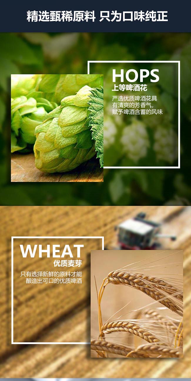 青贊百香果精釀啤酒【13度 1L】