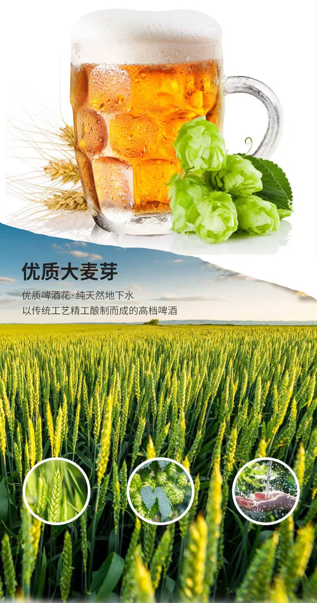 英皇小麥白啤【500ml×12】