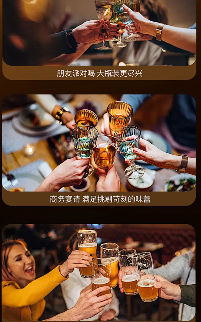 蒙迪貓·修道院啤酒【23.9° 750ml】